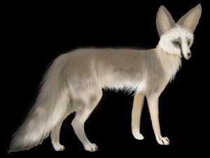 Shakarnaz