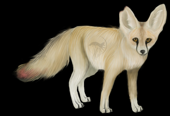 Sirius